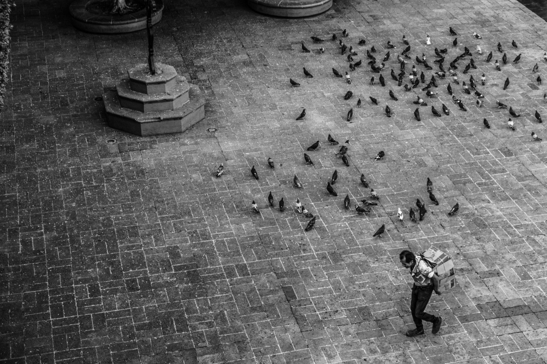 Coronavirus. De National Geographic